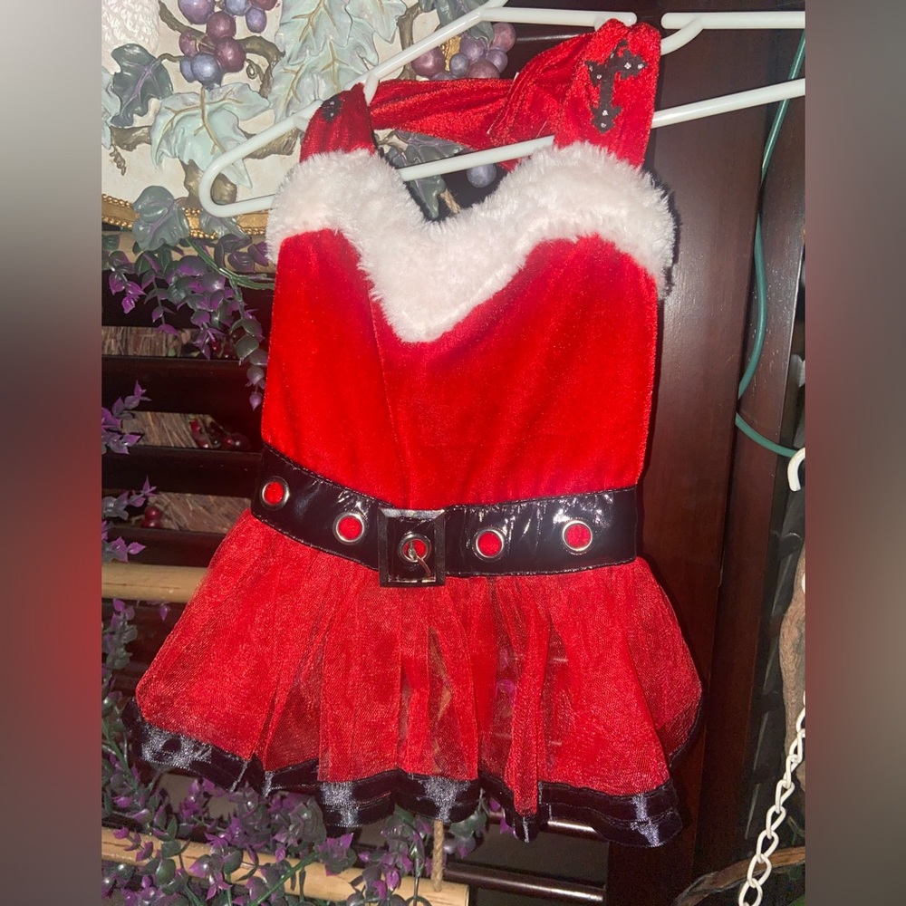 Bret Michaels Signature Pet’s Rock Lingerie Tutu Costume, during the holidays…